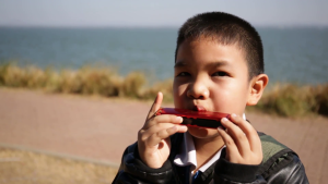 اموزش سازدهنی