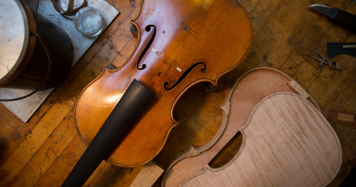 نگاهی علمی به چوب ویولن (بخش اول)