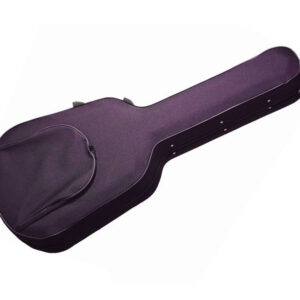 هارد کیس گیتار