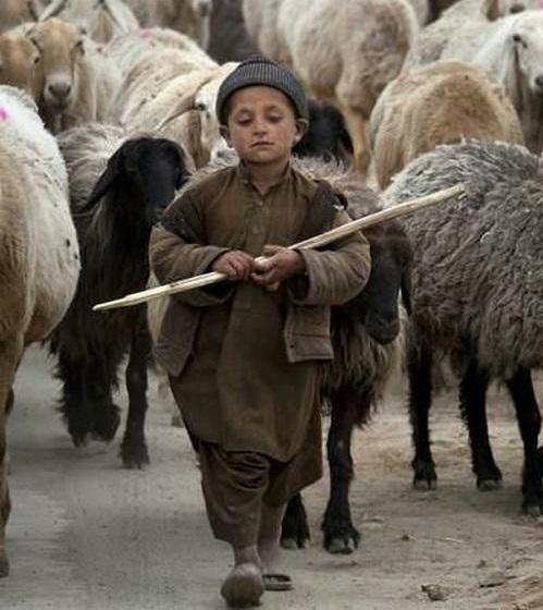 ساز های بادی بوشهر ( نی چوپانی) بخش سوم