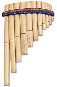 تصویر پن فلوت تصویر پن فلوت
