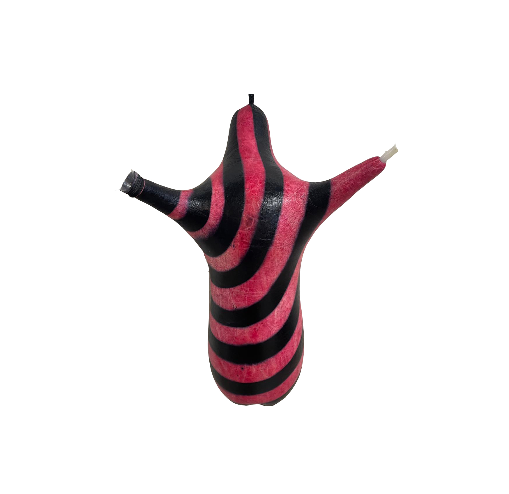 نی انبان قرمز راه راهی