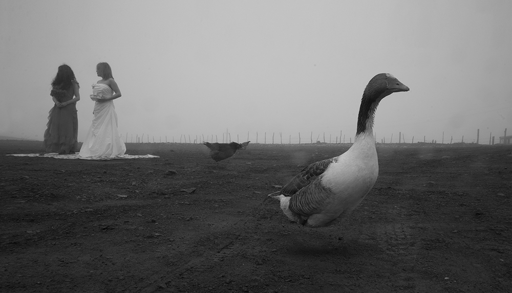 رئالیسم عکاسانه